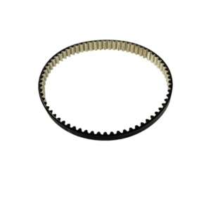Light Bee Primary Belt(Dayco 2025)