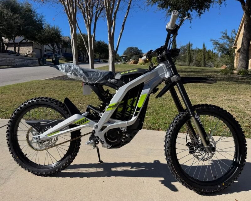 SurRon Light Bee X 2024